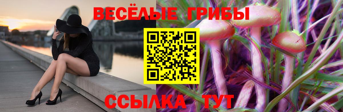 Серов  Псилоцибиновые грибы Cubensis  Вход с VPN 