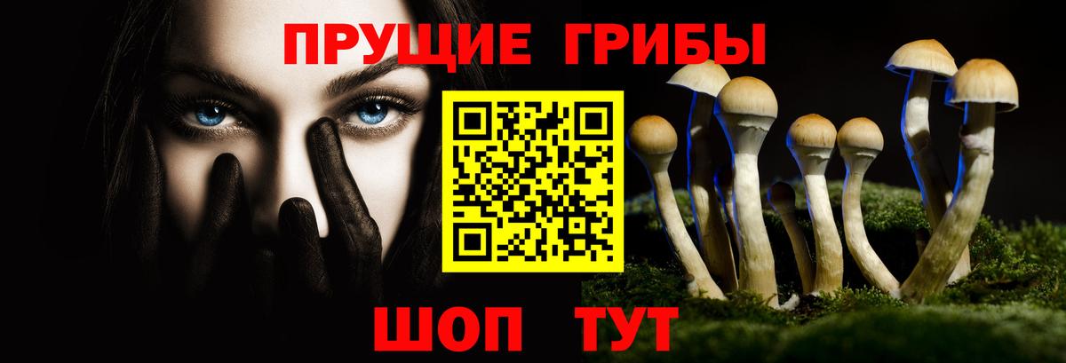 Псилоцибиновые грибы Magic Shrooms Серов